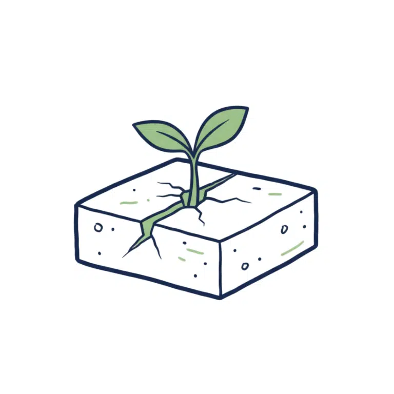 Live Strong House Values - Milestones: Resilience